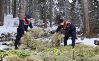 2000 rakımda yaban hayatı için doğaya yem bırakıldı
