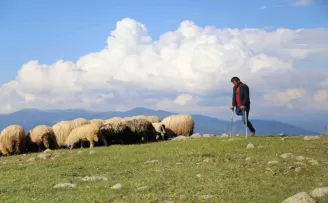 26 yıldır tek bacağıyla hayvanlarını otlatıyor
