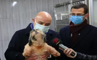 68 adet cins köpek Keçiören Belediyesi’nin korumasına alındı
