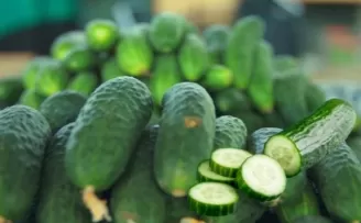 ABD’de salmonella alarmı! O salatalıklar toplatılıyor!