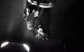 Adana’dan Ankara’ya silah satmaya gelen suç örgütüne nefes kesen operasyon
