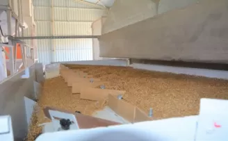 Akyurt Tohum Eleme Tesisi 856 ton hububatı işledi
