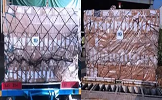 Almanya’ya 10 milyondan fazla maske teslim edildi

