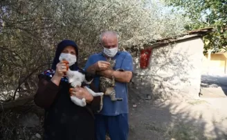 Altındağ Belediyesinden minik kedilere mama ve bakım desteği
