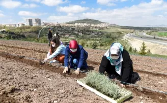 Altındağ çiçek açtı
