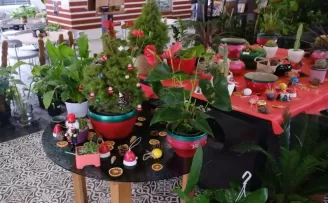 ANFA Bitki Evleri’nde yeni yılın çiçekleri sunuldu