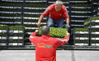 Ankara Büyükşehir’den çiftçilere 624 bin fide desteği