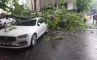 Ankara’da 3 aracın üzerine ağaç devrildi
