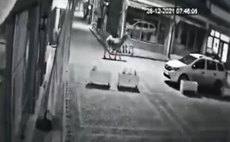 Ankara’da aç kalan geyik şehir merkezine indi
