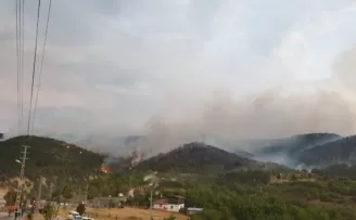 Ankara’da orman yangını
