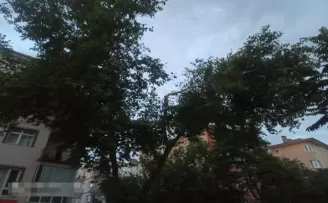 Ankara’da şiddetli rüzgar ağaçların dallarını kırdı
