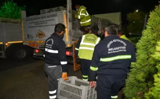 Ankara’dan gönderilen fidanlar Hatay’a can olacak
