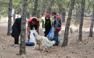 Ankara Kent Konseyi farkındalık oluşturan etkinliklerine devam ediyor

