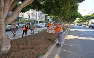 Antalya’da kurakçıl peyzajla yeşil dokunuş