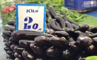 Antalya’da yaşanan fırtına seraları etkiledi, patlıcan 20 lira oldu
