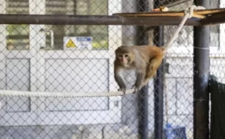 Antalya Döşemealtı’na 123 kilometrelik dev altyapı yatırımı