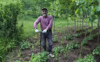 Artvin’de bu kez kene paniği yaşanıyor
