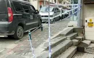 Artvin’de caddeyi arılar bastı
