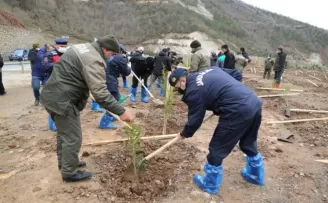 Artvin’de fidanlar toprakla buluştu
