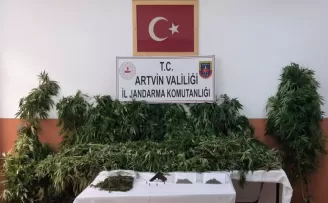 Artvin’de jandarmadan uyuşturucu operasyonu
