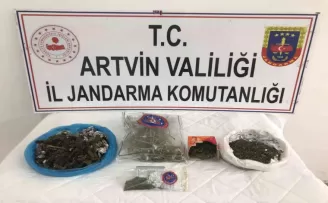 Artvin’de jandarmanın uyuşturucu operasyonunda 3 kişi gözaltına alındı
