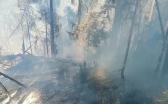 Artvin’de korkutan orman yangını
