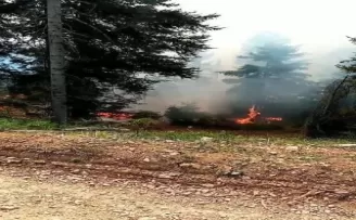 Artvin’de orman yangını
