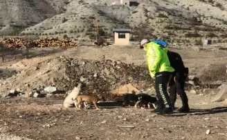 Artvin’de sokak hayvanları unutulmadı