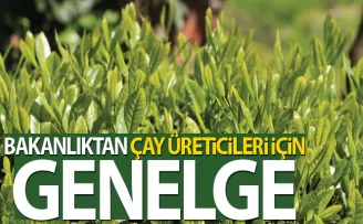 İçişleri Bakanlığından çay üreticileri için genelge
