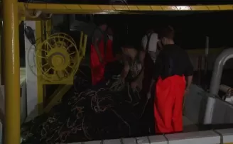 Av sezonu açıldı, Tuzla’da ilk ağları Başkan Şadi Yazıcı çekti
