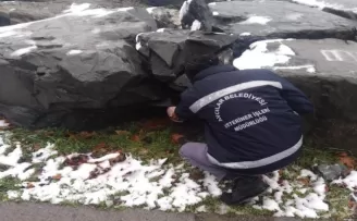 Avcılar Belediyesi kış aylarında mama desteğini artırdı
