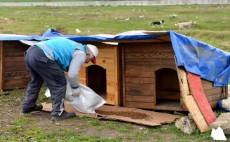Avcılar Belediyesi sokak hayvanlarını unutmadı
