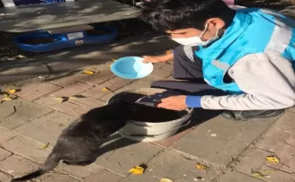 Avcılar’da kısıtlamada sokak hayvanları unutulmadı
