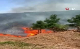 Aydos ormanlarında korkutan yangın

