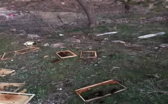 Ayılar bu mahalleyi mesken tuttu
