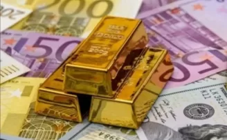 Aylıkta en yüksek reel getiri Euro’da oldu