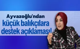 Ayvazoğlu'ndan küçük balıkçılara destek açıklaması! 