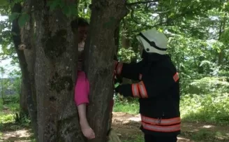 Bacağı ağacın gövdesine sıkışan Ravzanur’un yardımına itfaiye ekipleri yetişti
