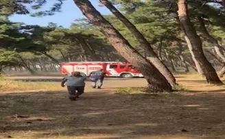 Bakırköy’de ağaçlık alanda korkutan yangın
