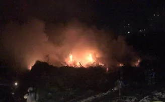 Bakırköy’de ağaçlık alanda korkutan yangın
