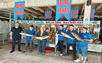 Balıkçı Kenan Balcı: “Denizden balık fışkırıyor herkes balık yemeli“
