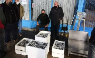 Balıkçılar gelecek yıl Karadeniz’de hamsi bolluğu bekliyor
