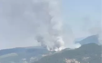 Balıkesir Sındırgı’da orman dışı alanda yangın!