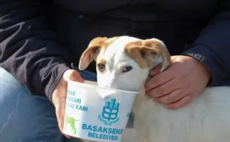 Başakşehir Belediyesi’nden can dostlarına 1 ton mama
