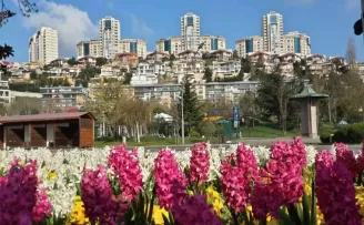 Başakşehir’de bahar hazırlıkları başladı
