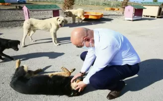 Başkan Altınok’tan can dostlara yakın ilgi
