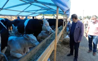 Başkan Deniz Köken, kurban satış alanında incelemelerde bulundu
