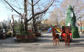 Başkent sokakları yeni yılın ilk gününde ıssız kaldı
