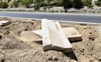Başkent’te ağaçların kuruma nedeni susuzluk değil altındaki beton
