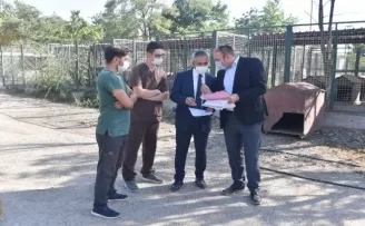 Başkent’te barınaklarda iyileştirme çalışmaları devam ediyor
